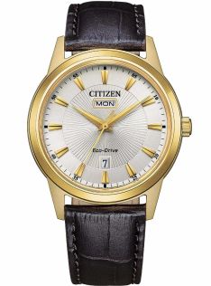 Citizen Eco-Drive herrklocka i gyllene färgat stål | Solstråle urtavla med dag/datum | AW0102-13A