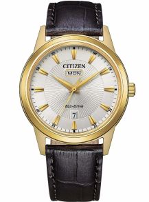 Citizen Eco-Drive herrklocka i gyllene färgat stål | Solstråle urtavla med dag/datum | AW0102-13A